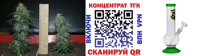 МЕГА онион  Власиха  Дистиллят ТГК гашишное масло  где можно купить наркотик 