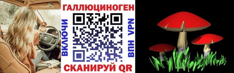 купить закладку  Власиха  Галлюциногенные грибы мицелий 